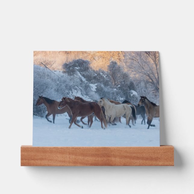 Horse Drive in Winter on Hideout Ranch Picture Ledge (Front)