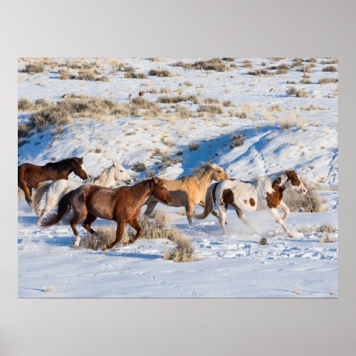 Horse Drive in Winter on Hideout Ranch Poster