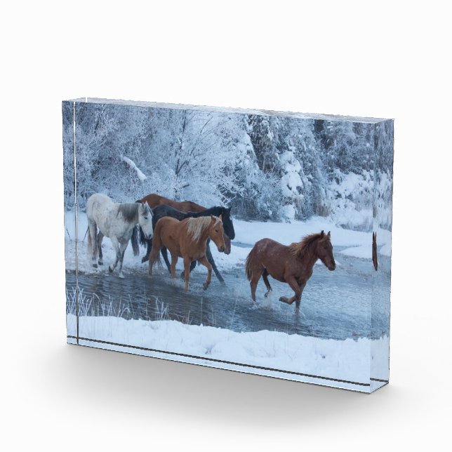 Horse Drive in Winter Photo Block (Right)