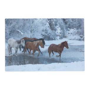 Horse Drive in Winter Placemat