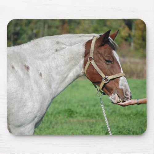 Horse eating alfalfa mouse pad