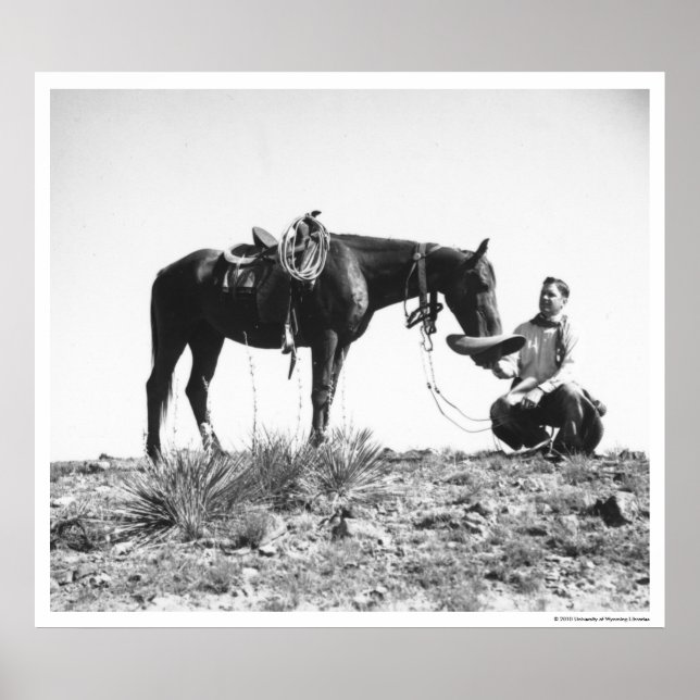 Horse eating from a cowboy's hat. poster (Front)