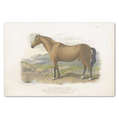 Horse Ephemera Decoupage Vintage Brown Tissue Paper