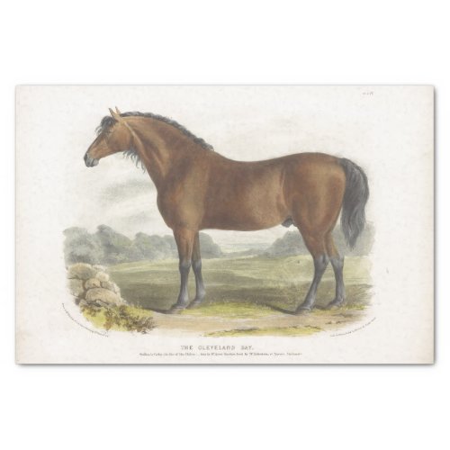 Horse Ephemera Decoupage Vintage Cleveland Bay Tissue Paper