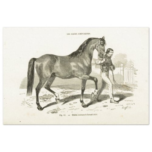 Horse Ephemera Decoupage Vintage French Man Tissue Paper