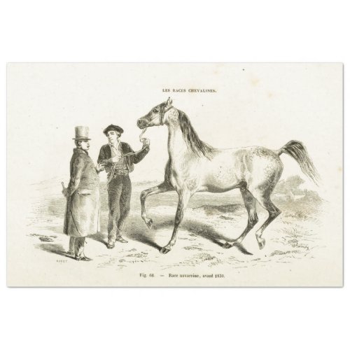 Horse Ephemera Decoupage Vintage French Men Tissue Paper