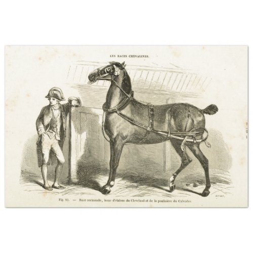Horse Ephemera Decoupage Vintage French Soldier Tissue Paper