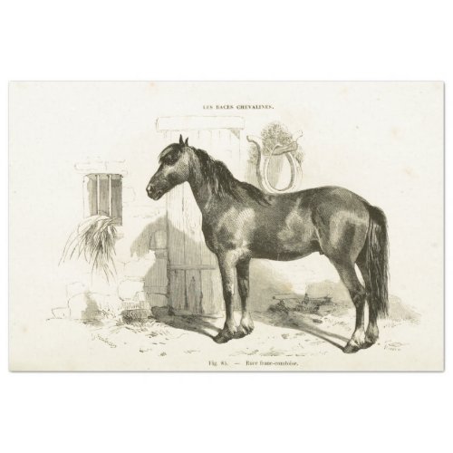 Horse Ephemera Decoupage Vintage French Stable Tissue Paper
