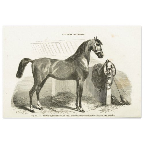 Horse Ephemera Decoupage Vintage French Stable Tissue Paper