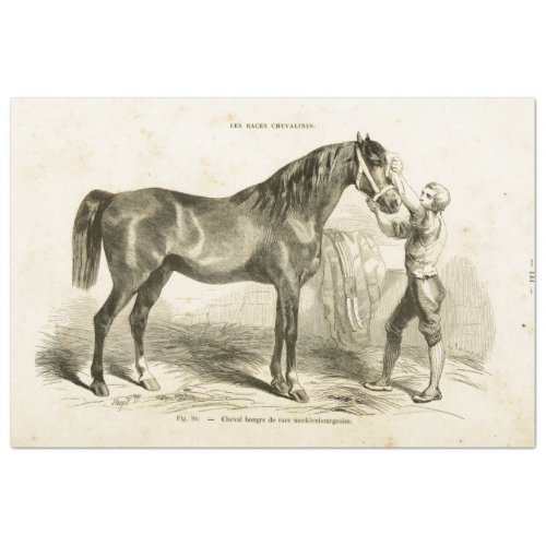 Horse Ephemera Decoupage Vintage French Stableman Tissue Paper