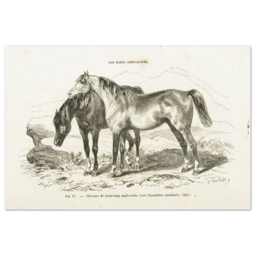 Horse Ephemera Decoupage Vintage French Tissue Pap Tissue Paper