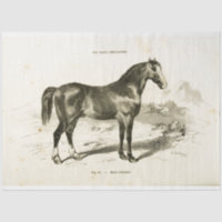 Horse Ephemera Decoupage Vintage French