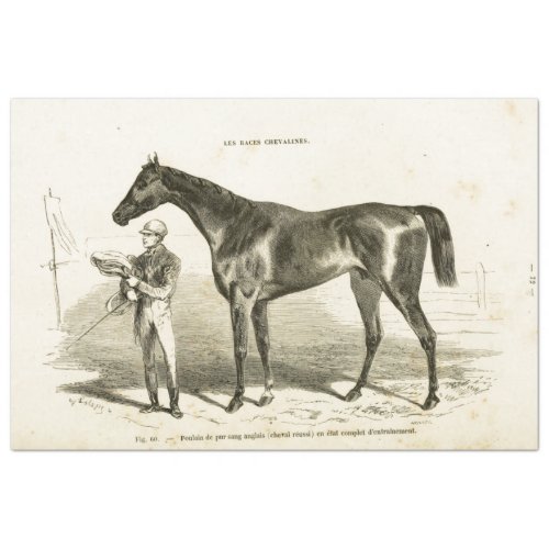 Horse Ephemera Decoupage Vintage French Trainer Tissue Paper