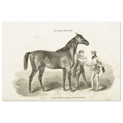 Horse Ephemera Decoupage Vintage French Trainers Tissue Paper