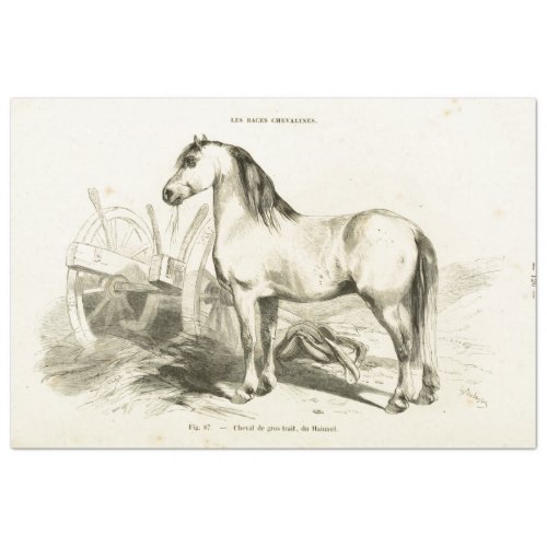Horse Ephemera Decoupage Vintage French Wagon Tissue Paper