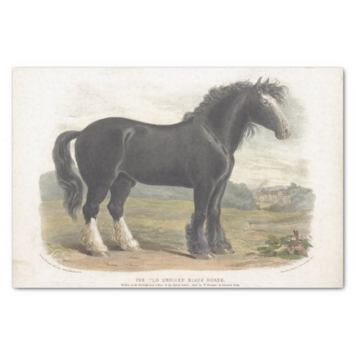 Horse Ephemera Decoupage Vintage Old English Black Tissue Paper