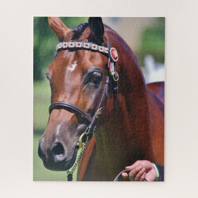 Horse Equestrian Arab Arabian Breed Jigsaw Puzzle (Vertical)