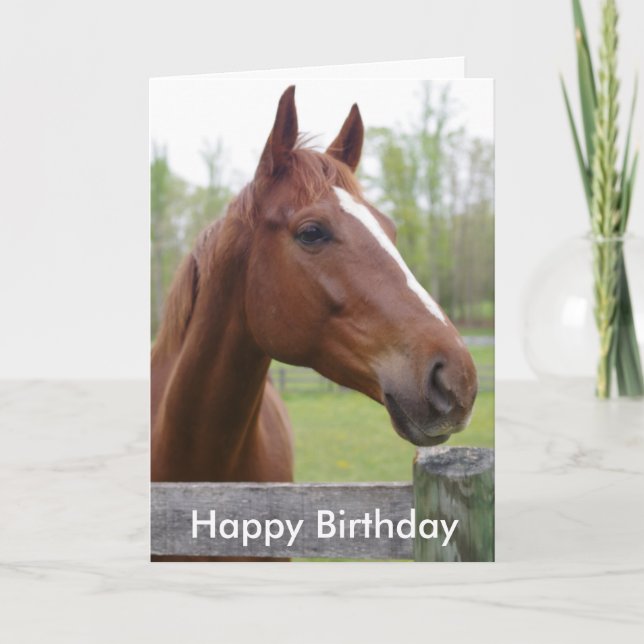 Horse Equestrian Hunter Birthday Card (Front)