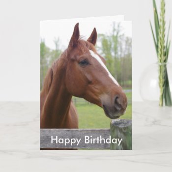 Horse Equestrian Hunter Birthday Card by cbendel at Zazzle