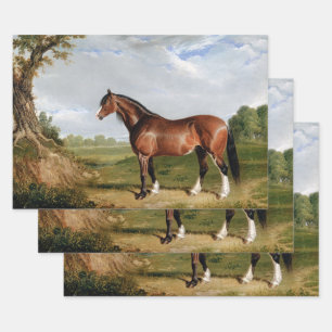 Horse Equestrian Oil Painting Vintage Antique Wrapping Paper Sheets