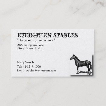 Horse Equine Business Card by crystaldream4u at Zazzle