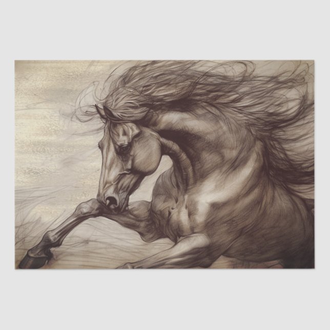 Horse Equine Sketch Tissue Paper (Front)