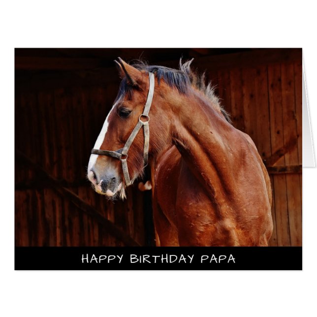 Horse Extra Large Birthday Card (Front Horizontal)