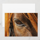 Horse eye (Front/Back)