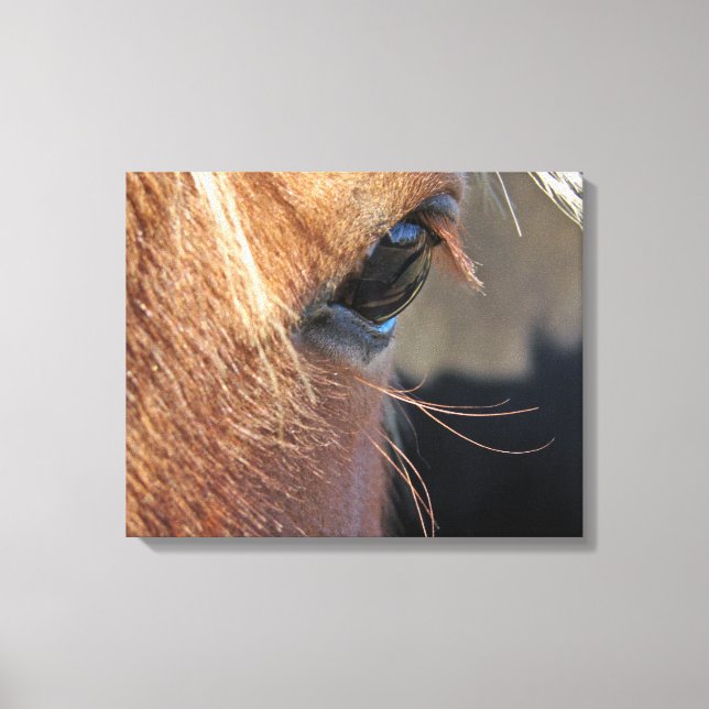 Horse Eye Canvas Print (Front)