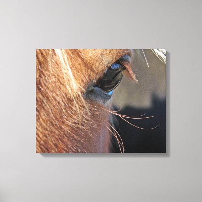 Horse Eye Canvas Print (Front)