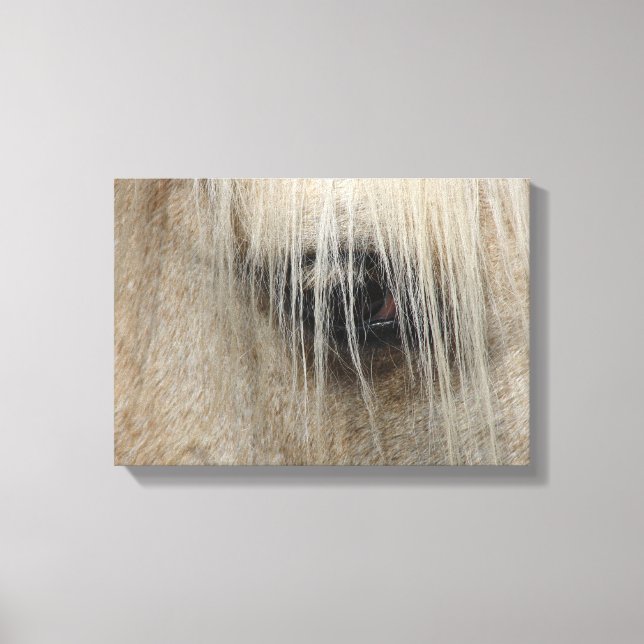 Horse Eye Canvas Print (Front)