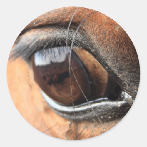 Horse Eye Classic Round Sticker