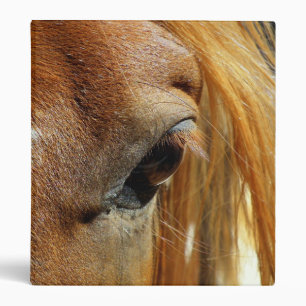 Horse Eye Closeup Binder
