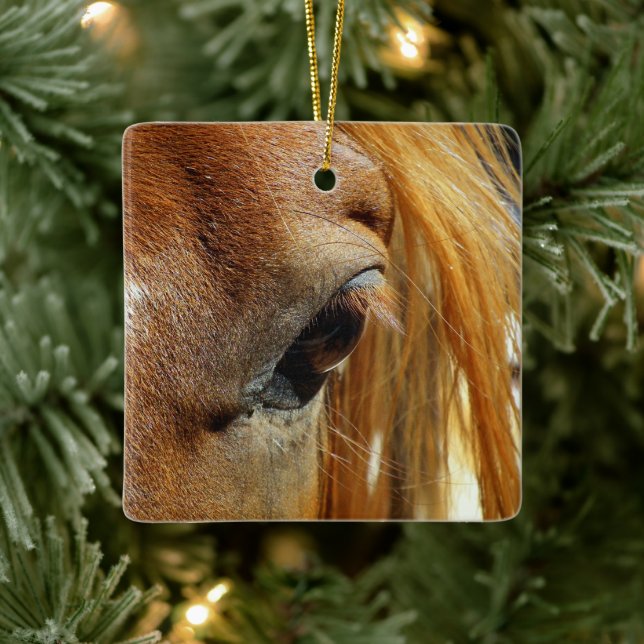 Horse Eye Closeup Ceramic Ornament (Tree)