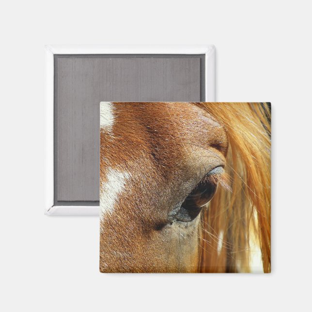 Horse Eye Closeup Magnet (Front/Back)