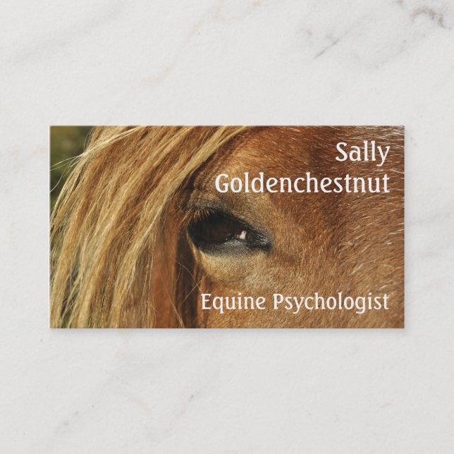 Horse eye equine psychology business card (Front)