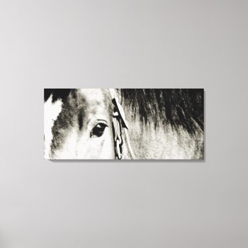 Horse Eye Photograph Canvas Print by PaintingPony at Zazzle
