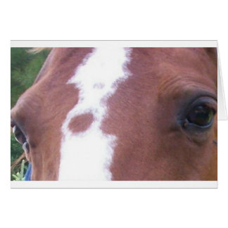 horse eyes cards