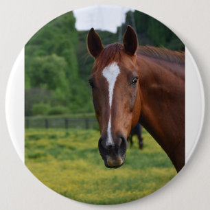 horse face button