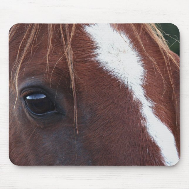 Horse Face Closeup Mouse Pad (Front)