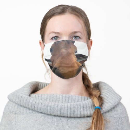 Horse Face Mask