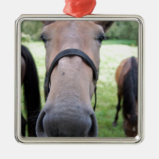Horse face metal ornament (Front)