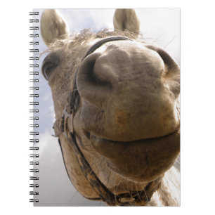 Horse face notebook