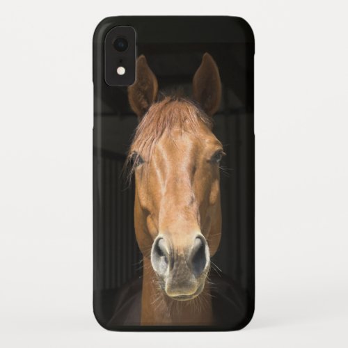 Horse Face Photo Image iPhone XR Case