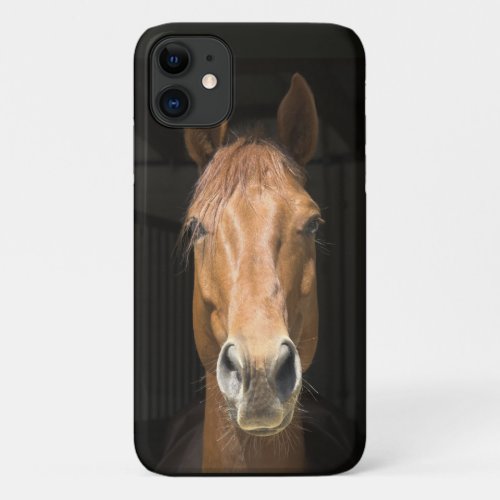 Horse Face Photo Image iPhone 11 Case
