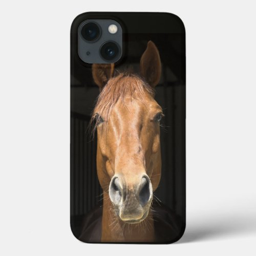 Horse Face Photo Image iPhone 13 Case