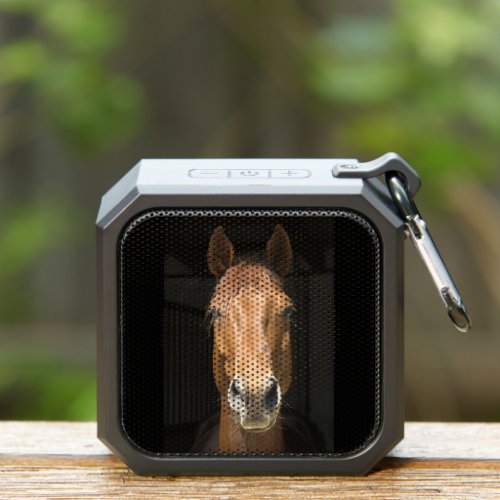 Horse Face Photograph Bluetooth Speaker