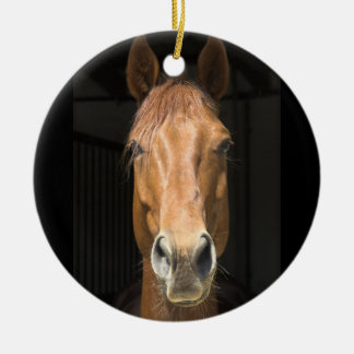 Horse Face Photograph Ceramic Ornament