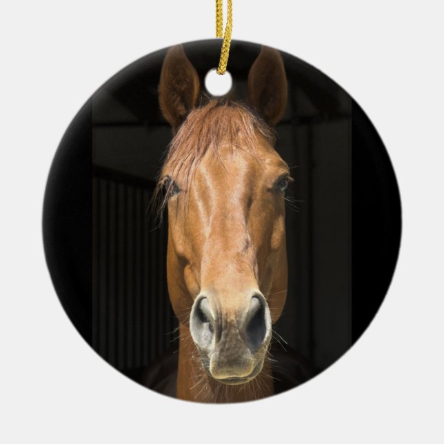 Horse Face Photograph Ceramic Ornament (Front)