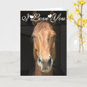 Horse Face Photograph I Love You Card (Yellow Flower)
